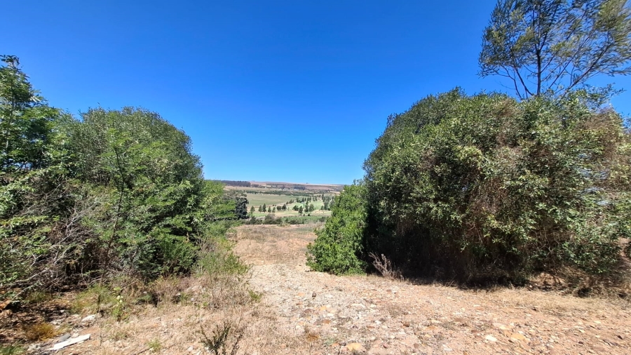 0 Bedroom Property for Sale in Heidelberg Western Cape